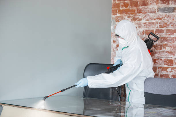 Best Emergency Mold Remediation  in Tiger Point, FL